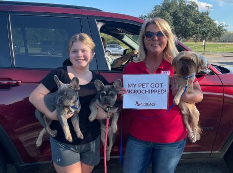 Two people holding three dogs and a sign that says, 'My pup got microchipped'