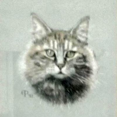 A drawing of Gertrude the cat