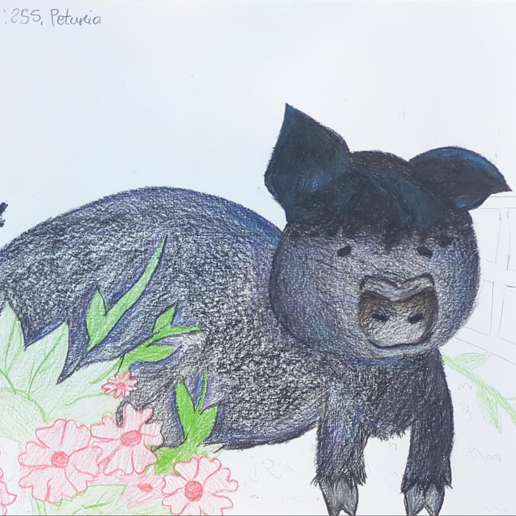 Adoptable Female Female