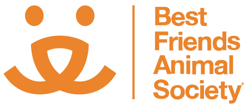 168极速赛车开奖官网开奖记录+历史结果查询 Best Friends Animal Society - Save Them All